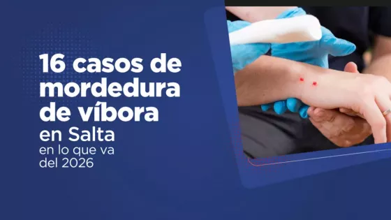 106553-en-salta-suman-16-casos-los-casos-de-mordedura-de-vibora