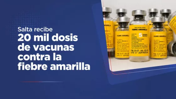 107966-salta-recibe-20-mil-dosis-de-vacunas-contra-la-fiebre-amarilla-tras-brote-detectado-en-bolivia