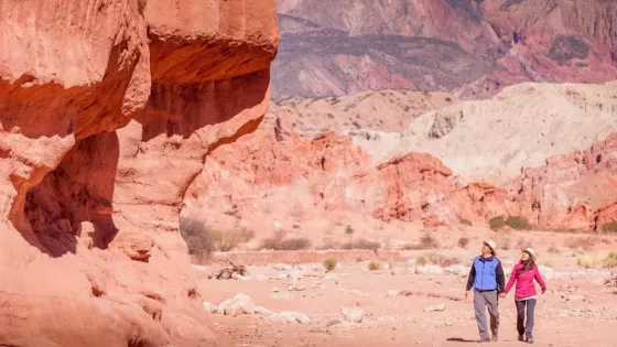 102458-la-campania-codigo-salta-genero-alto-interes-y-afianzo-el-turismo-en-temporada-baja