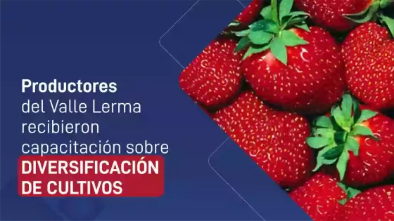 Internet_20250318_194903