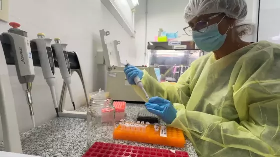 103224-en-el-hospital-materno-infantil-validaron-un-kit-para-detectar-el-chagas-en-recien-nacidos