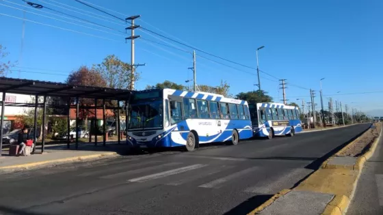 108400-saeta-servicio-de-colectivos-en-los-feriados-del-15-y-17-de-junio