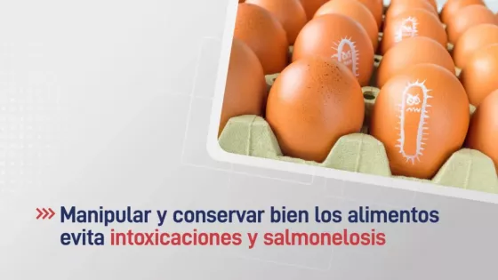 104607-salud-publica-pide-extremar-cuidados-para-prevenir-intoxicaciones-y-salmonelosis-por-alimentos