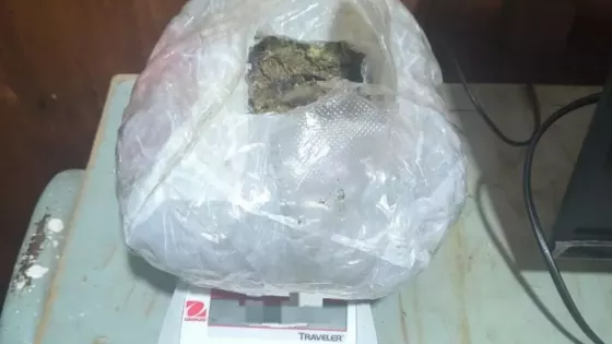 107852-la-policia-incauto-mas-de-1900-dosis-de-marihuana-en-cafayate