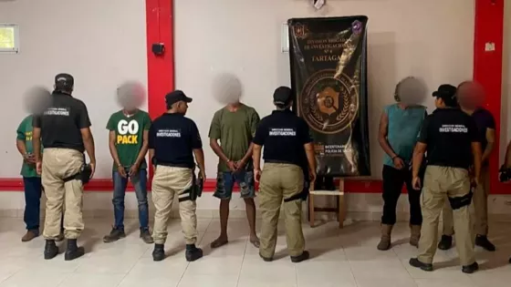 105779-multiples-allanamientos-y-detenciones-por-robo-de-madera-en-fincas-de-tartagal