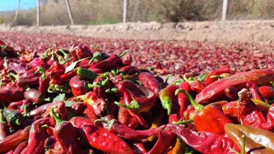 Internet_20250501_140017_1