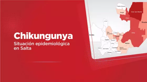 108042-informe-epidemiologico-situacion-de-chikungunya-en-salta
