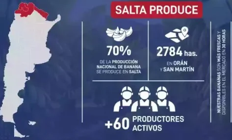 106468-salta-lidera-y-proyecta-al-norte-argentino-como-nucleo-de-la-produccion-nacional-de-banana