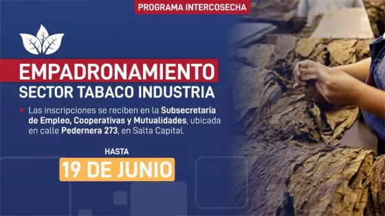 101953-desde-hoy-empadronan-a-postulantes-al-sector-tabaco-industria-del-programa-intercosecha