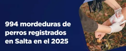 105716-se-notificaron-cerca-de-mil-casos-de-mordeduras-de-perros-en-el-ultimo-anio