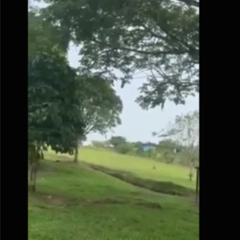 Screenshot_20260323_164604_Samsung Internet