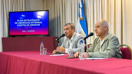 104197-salud-publica-lanza-el-plan-estrategico-de-abordaje-integral-contra-las-enfermedades-transmitidas-por-mosquitos-para-la-temporada-20252026