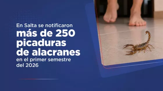 17847595805389031430560746921949