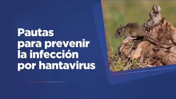 110876-el-gobierno-brinda-pautas-para-prevenir-la-infeccion-por-hantavirus
