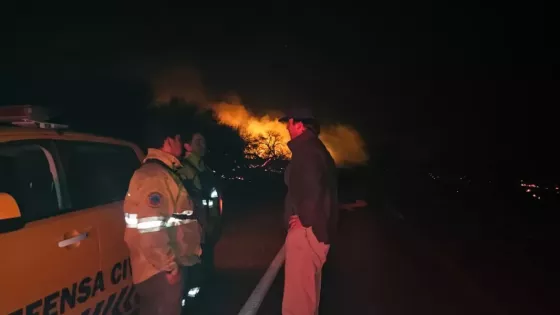 108520-intenso-trabajo-de-los-equipos-de-combate-de-incendios-en-cafayate-tras-la-reactivacion-de-focos