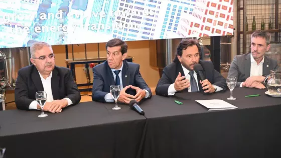 107627-mesa-del-litio-saenz-pidio-reglas-claras-a-nivel-pais-para-garantizar-previsibilidad-e-inversiones