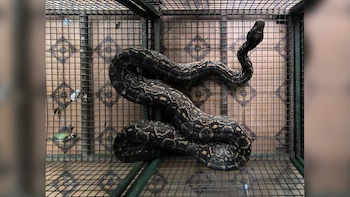 Z2SRPFLEOZCRLACDOBHK4MIZVI