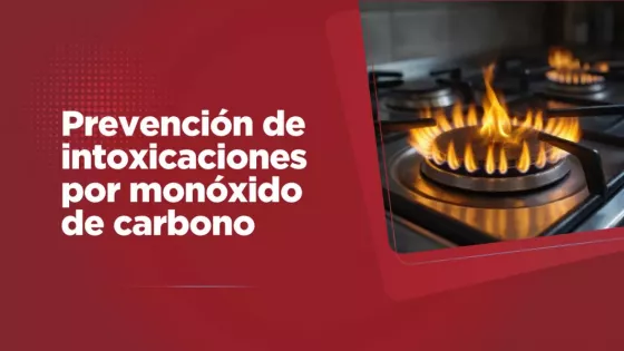 107381-ante-el-descenso-de-temperaturas-salud-insta-a-extremar-cuidados-para-prevenir-intoxicaciones-por-monoxido-de-carbono