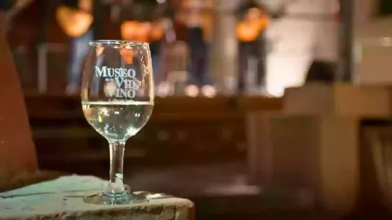 105906-bodegas-historia-y-cultura-una-experiencia-para-descubrir-los-valles-calchaquies-en-el-museo-de-la-vid-y-el-vino