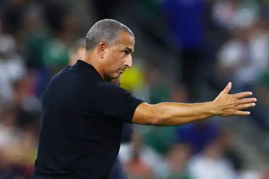 550x367_sabri-lamouchi-fue-despedido-tras-perder-primer-partido-mundial-1141202-104639
