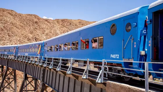 103355-maniana-se-presentara-el-entero-postal-del-tren-a-las-nubes