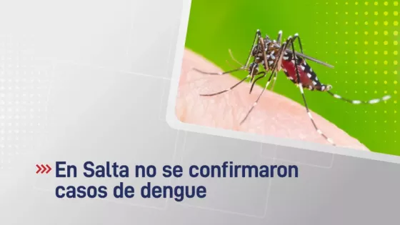 105303-en-salta-no-se-confirmaron-casos-de-dengue