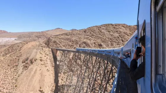 106534-el-tren-a-las-nubes-consolida-su-proyeccion-internacional