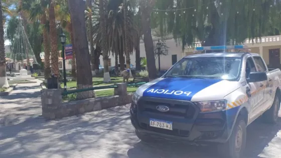 10045-intenso-trabajo-de-seguridad-durante-fin-de-anio