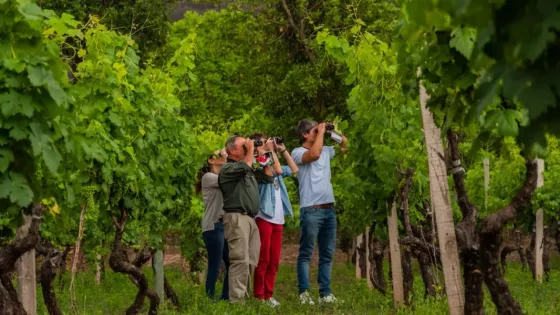 107875-la-riqueza-natural-de-salta-posiciona-a-la-provincia-entre-las-principales-referentes-del-pais