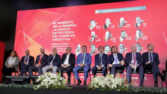 13529-saenz-en-argentina-cobre-2025-tenemos-que-dejar-de-ser-un-pais-con-minerales-para-convertirnos-en-un-pais-minero