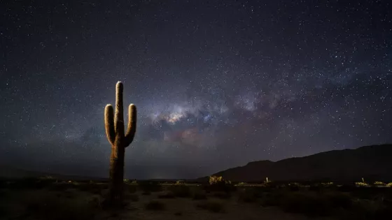108488-el-parque-nacional-los-cardones-invita-a-vivir-una-noche-unica-de-astroturismo-en-los-valles-calchaquies