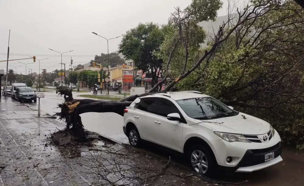 FB_IMG_1767388990978