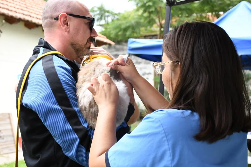 vacunacion-antirrabica-2-1