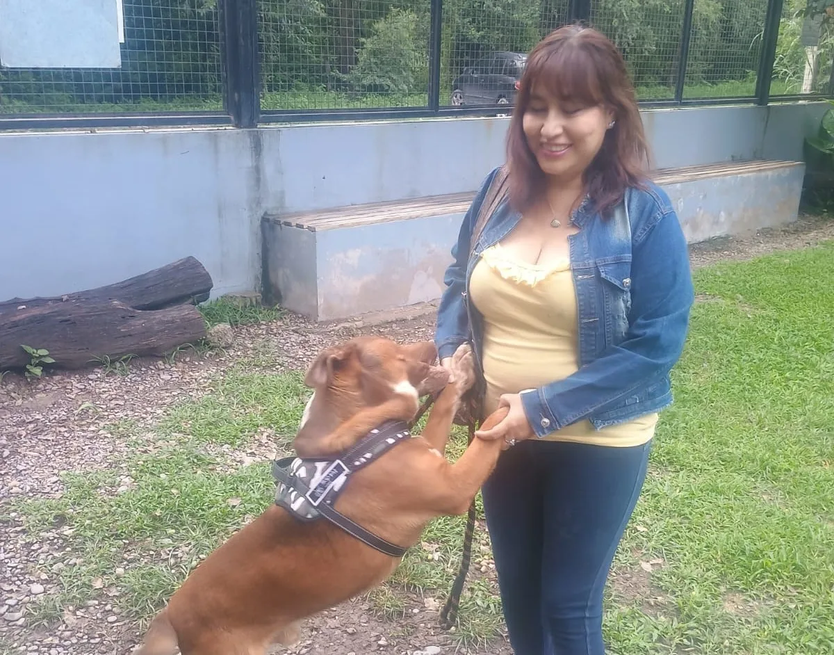 perro-chocolino-hallado-2