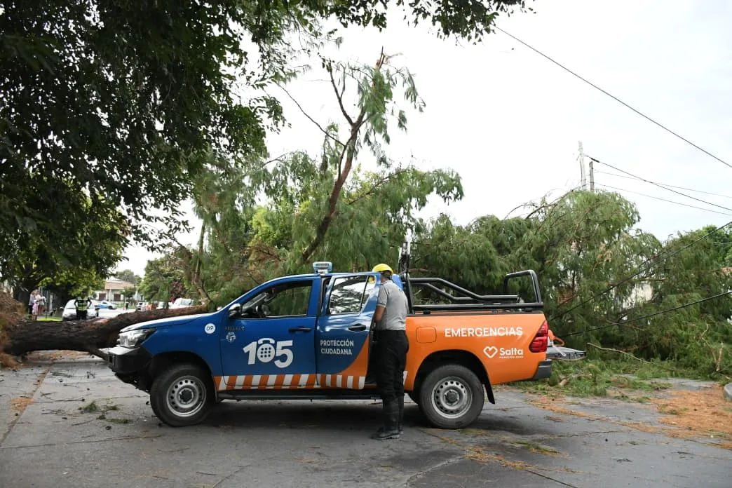 intervencion-x-tormenta-8