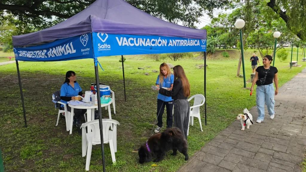 vacunacion-antirrabica-1024x576