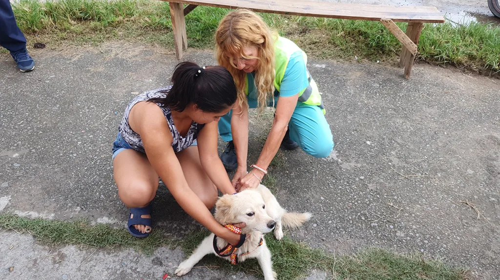 Internet_20250228_115848_1