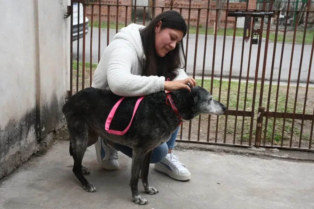 xuxa-perrita-adoptada-1-1536x1023