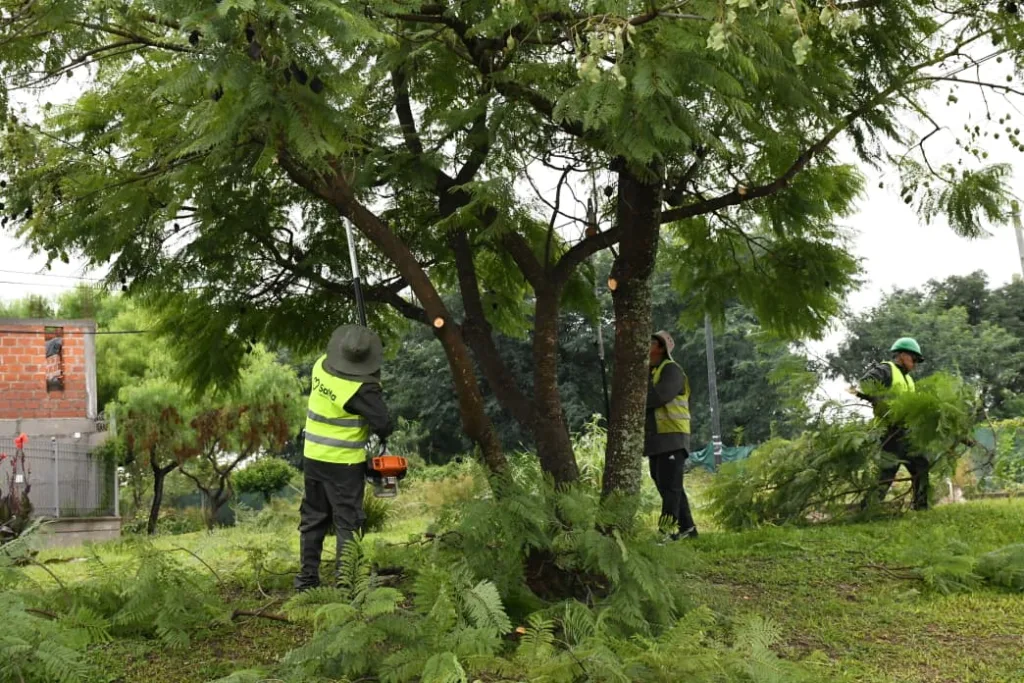 podas-grand-bourg-4-1024x683