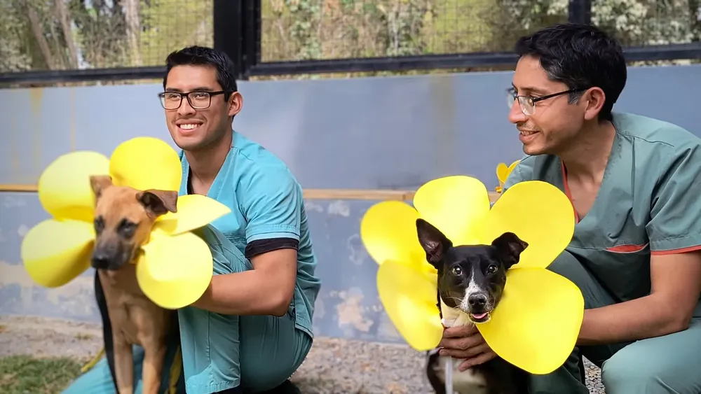 perros-centro-de-adopciones-7-1536x864