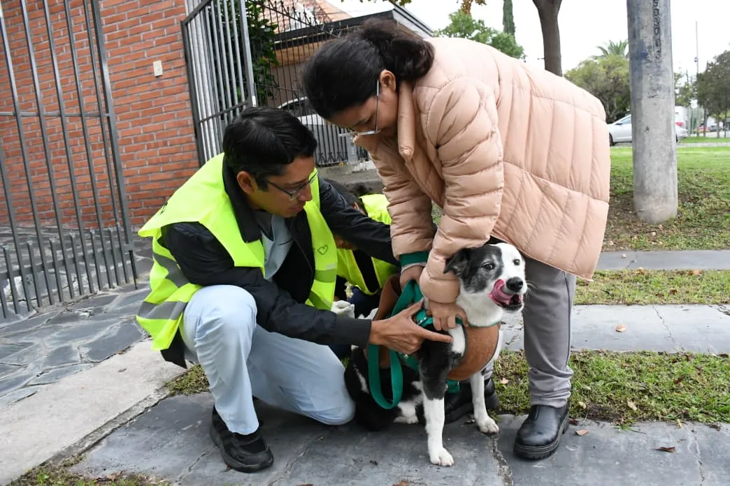 vacunacion-antirrabica-21