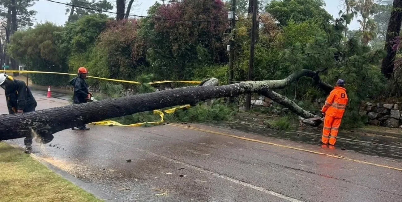 OCDTblL7a_1300x655__1