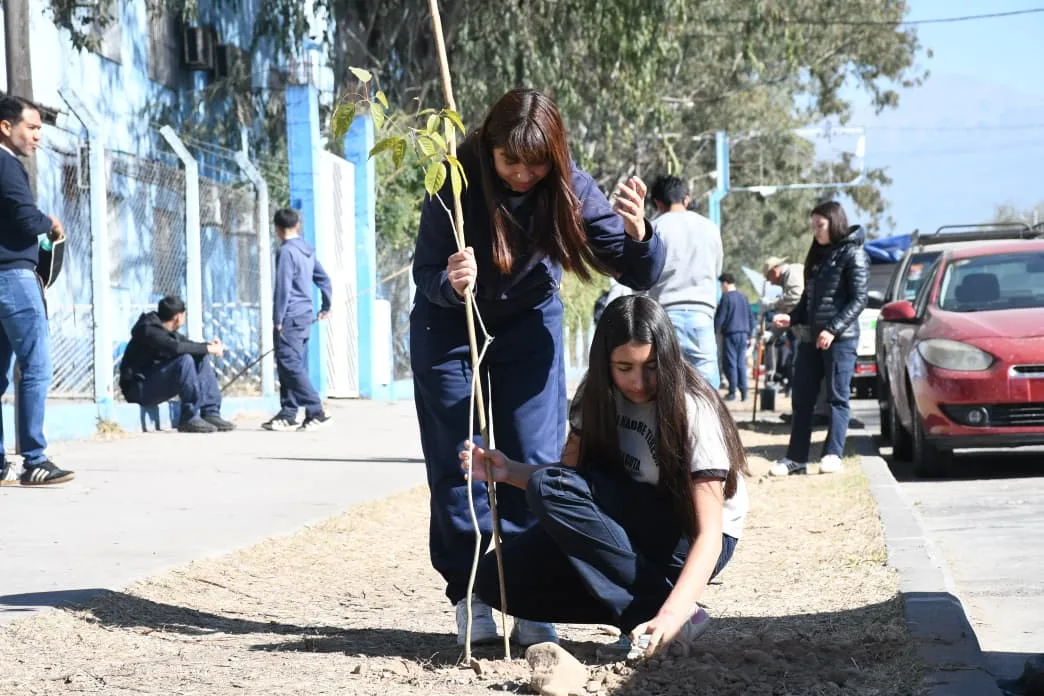 taller-de-arbolado-5