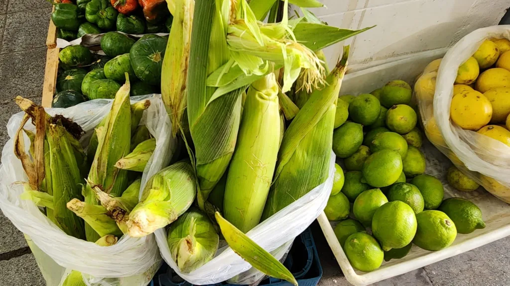 mercado-san-miguel-2-1024x576