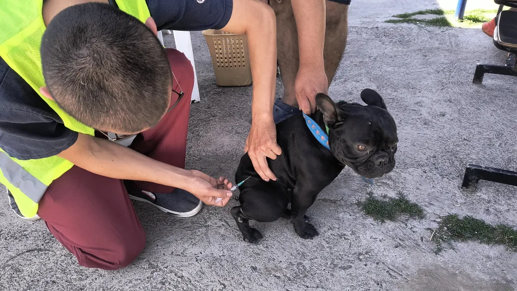 Internet_20250207_145416_3