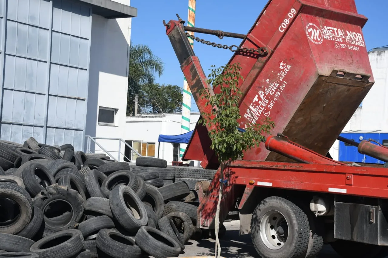 neumaton-13-edicion-4-jpeg