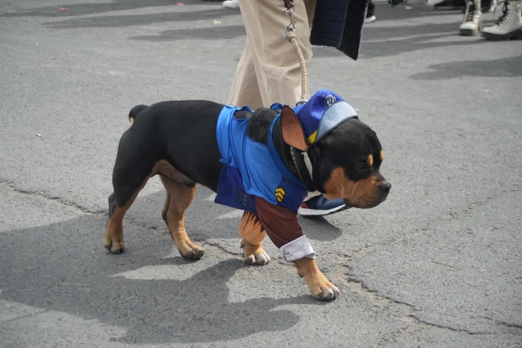 Internet_20250530_225118_1