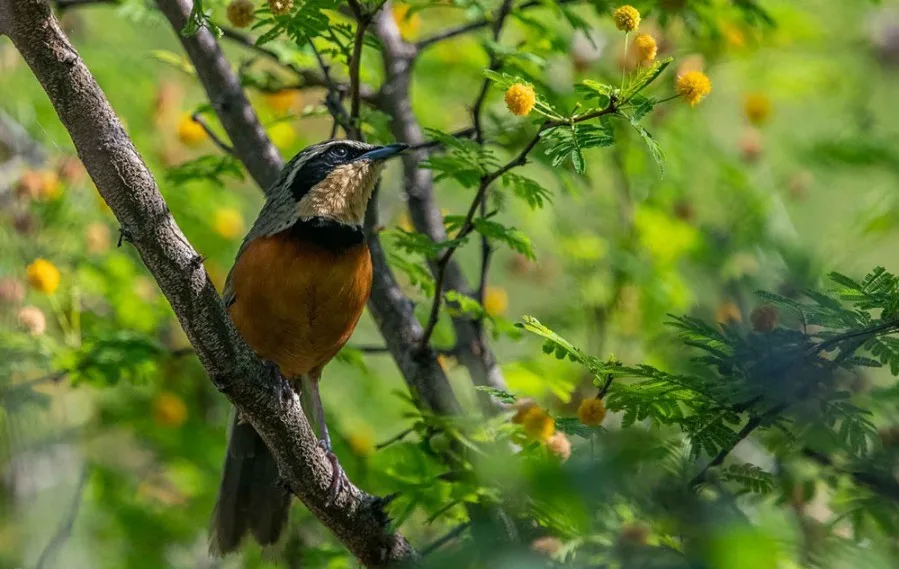 Internet_20250505_191706_3