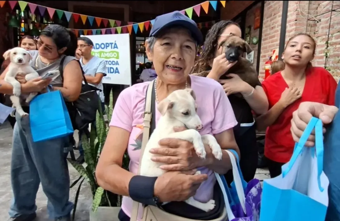 Screenshot_20260218_123028_Gallery