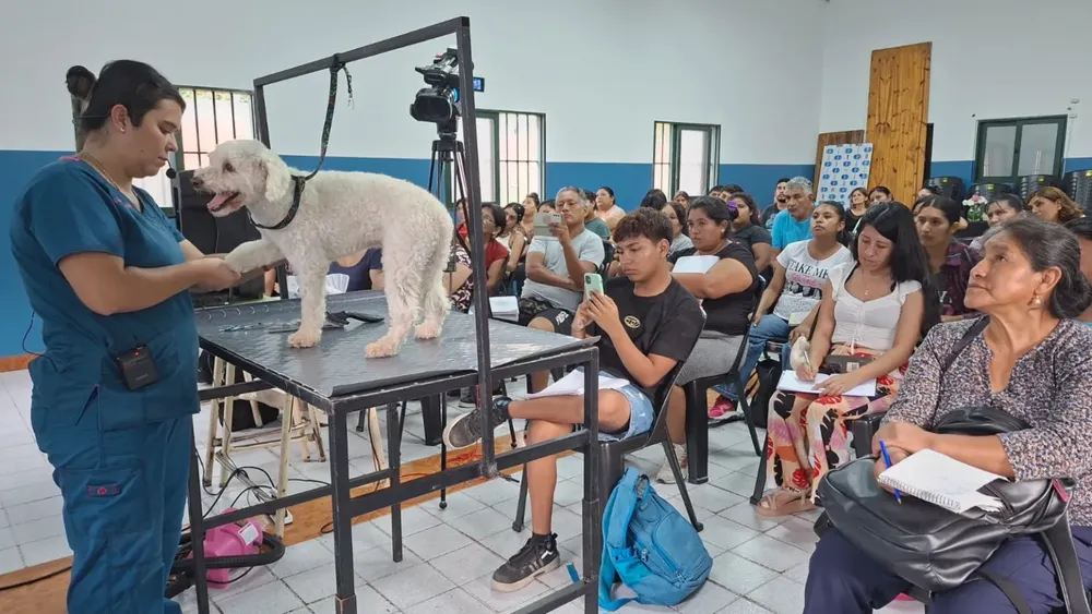 peluqueria-canina-2-1536x864